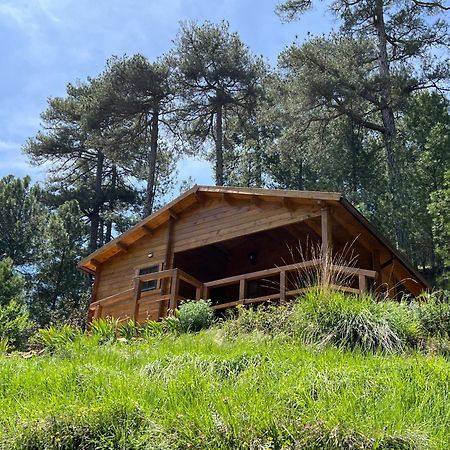 Cabana Garrote Gordo Segura de la Sierra Eksteriør bilde