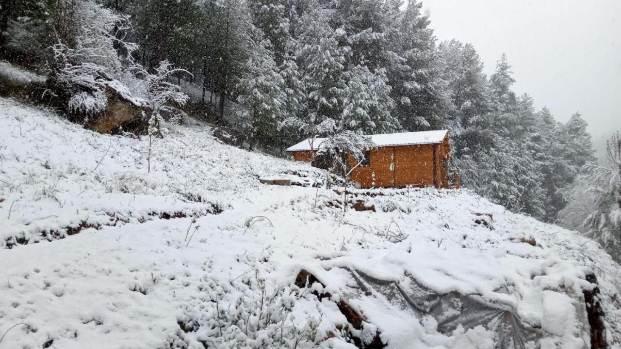 Cabana Garrote Gordo Segura de la Sierra Eksteriør bilde