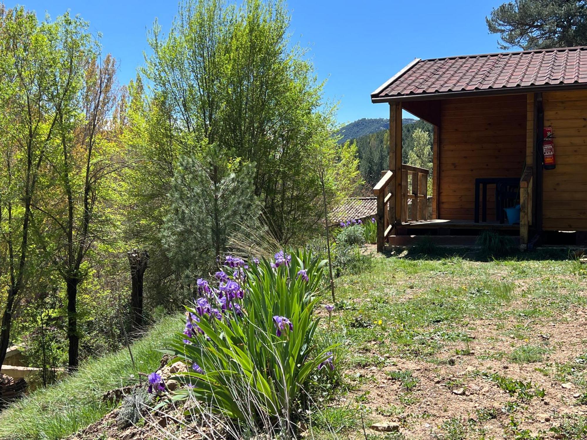 Cabana Garrote Gordo Segura de la Sierra Eksteriør bilde